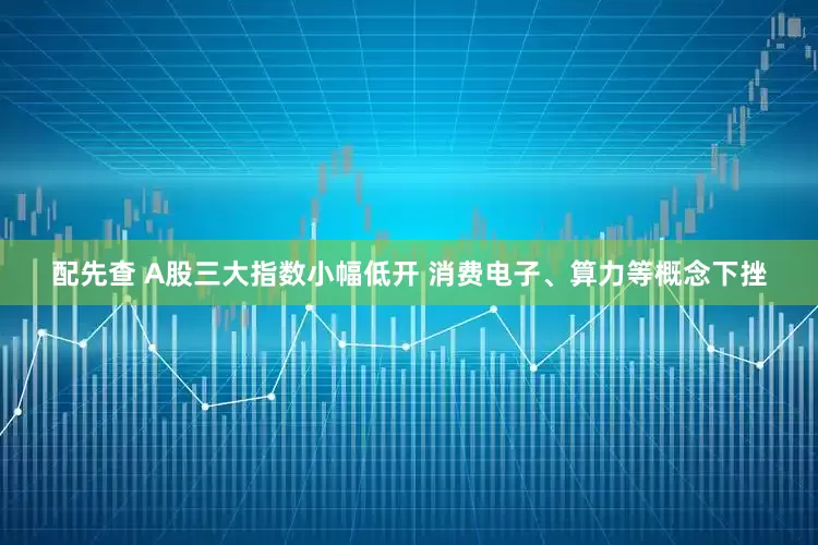 配先查 A股三大指数小幅低开 消费电子、算力等概念下挫