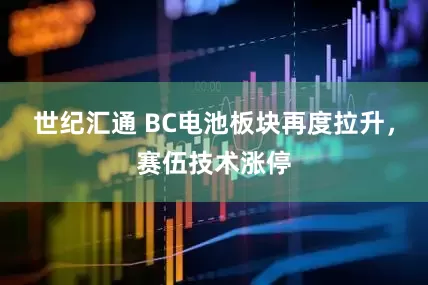 世纪汇通 BC电池板块再度拉升，赛伍技术涨停