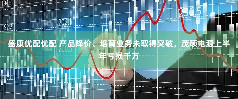 盛康优配优配 产品降价、培育业务未取得突破，茂硕电源上半年亏损千万