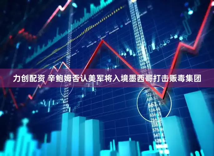 力创配资 辛鲍姆否认美军将入境墨西哥打击贩毒集团