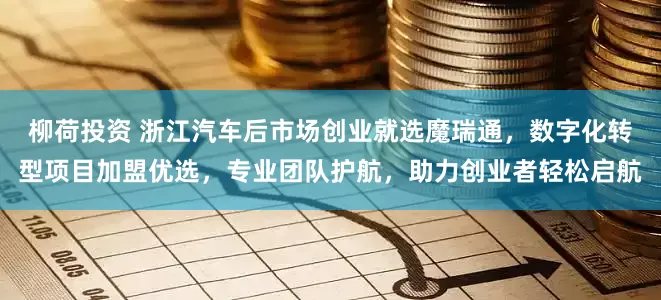 柳荷投资 浙江汽车后市场创业就选魔瑞通，数字化转型项目加盟优选，专业团队护航，助力创业者轻松启航