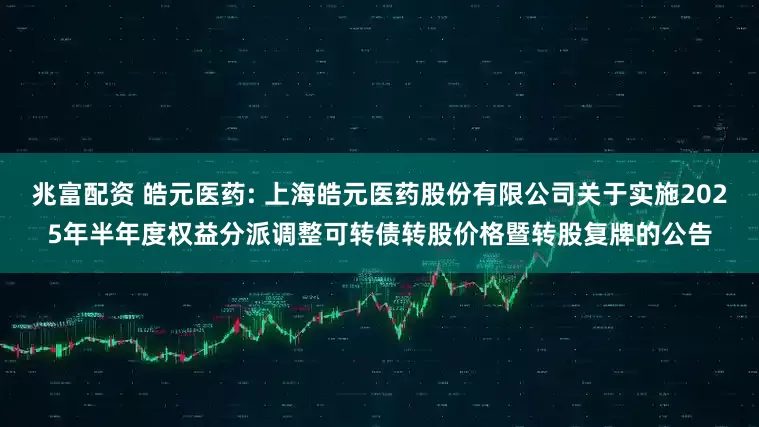 兆富配资 皓元医药: 上海皓元医药股份有限公司关于实施2025年半年度权益分派调整可转债转股价格暨转股复牌的公告