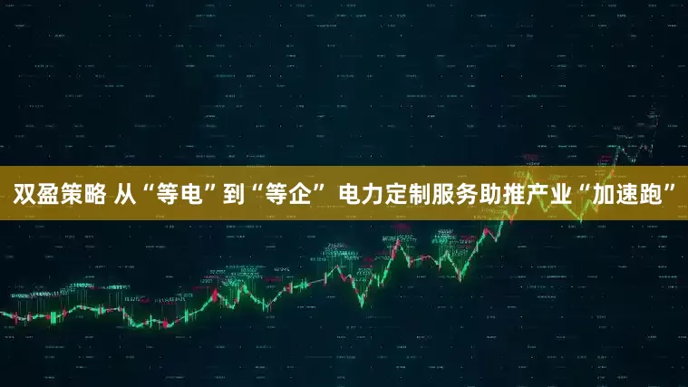 双盈策略 从“等电”到“等企” 电力定制服务助推产业“加速跑”